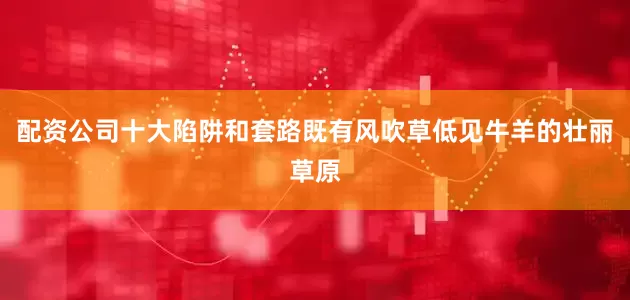 配资公司十大陷阱和套路既有风吹草低见牛羊的壮丽草原