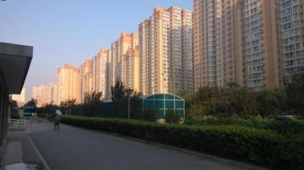 盛世聯(lián)行 全方位房地產(chǎn)專業(yè)咨詢服務(wù)，賦能資產(chǎn)價(jià)值與市場(chǎng)流通